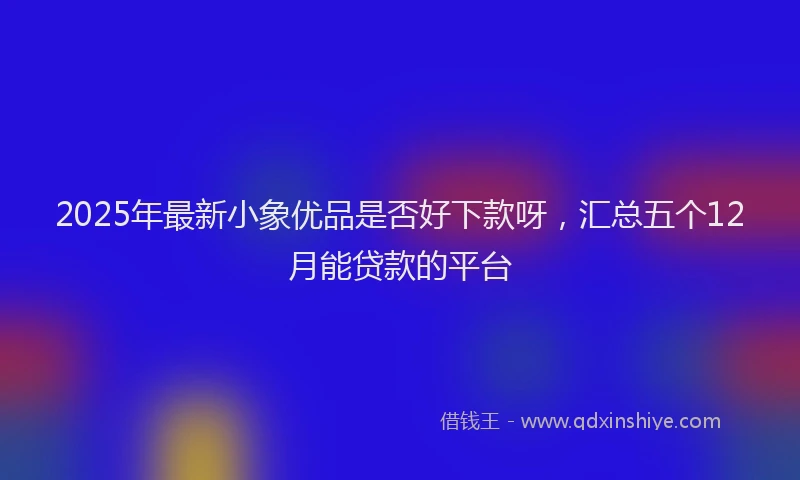 2025年最新小象优品是否好下款呀，汇总五个12月能贷款的平台