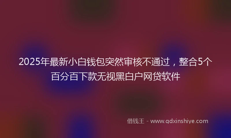 2025年最新小白钱包突然审核不通过，整合5个百分百下款无视黑白户网贷软件
