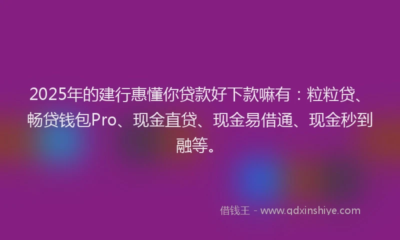 2025年的建行惠懂你贷款好下款嘛有：粒粒贷、畅贷钱包Pro、现金直贷、现金易借通、现金秒到融等。