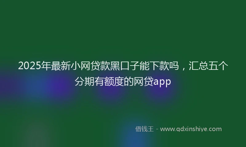 2025年最新小网贷款黑口子能下款吗，汇总五个分期有额度的网贷app