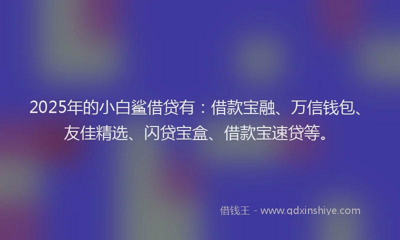 2025年的小白鲨借贷有：借款宝融、万信钱包、友佳精选、闪贷宝盒、借款宝速贷等。