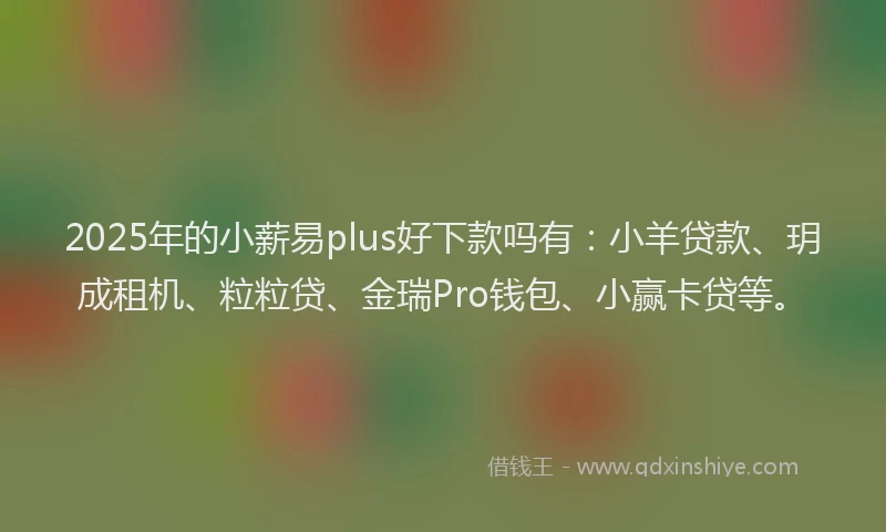 2025年的小薪易plus好下款吗有：小羊贷款、玥成租机、粒粒贷、金瑞Pro钱包、小赢卡贷等。