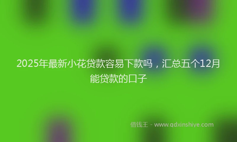 2025年最新小花贷款容易下款吗，汇总五个12月能贷款的口子