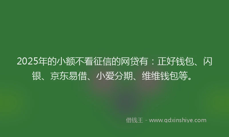 2025年的小额不看征信的网贷有：正好钱包、闪银、京东易借、小爱分期、维维钱包等。