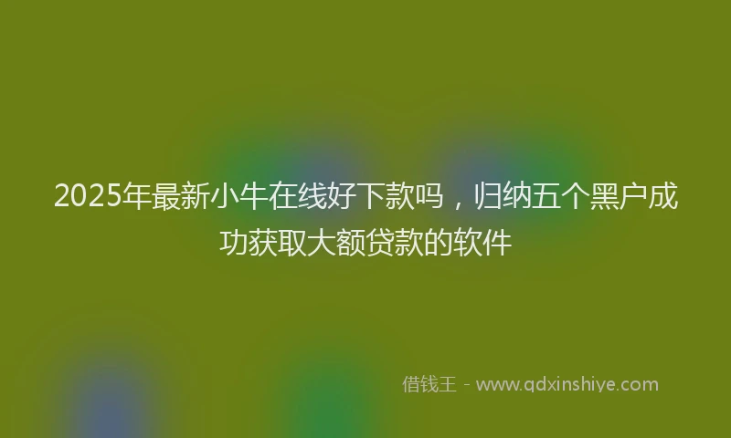 2025年最新小牛在线好下款吗，归纳五个黑户成功获取大额贷款的软件