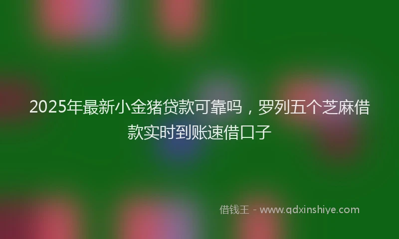 2025年最新小金猪贷款可靠吗，罗列五个芝麻借款实时到账速借口子