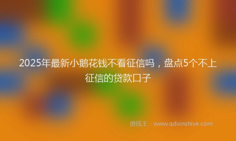 2025年最新小鹅花钱不看征信吗，盘点5个不上征信的贷款口子
