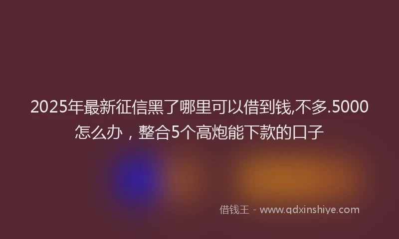 2025年最新征信黑了哪里可以借到钱,不多.5000怎么办，整合5个高炮能下款的口子