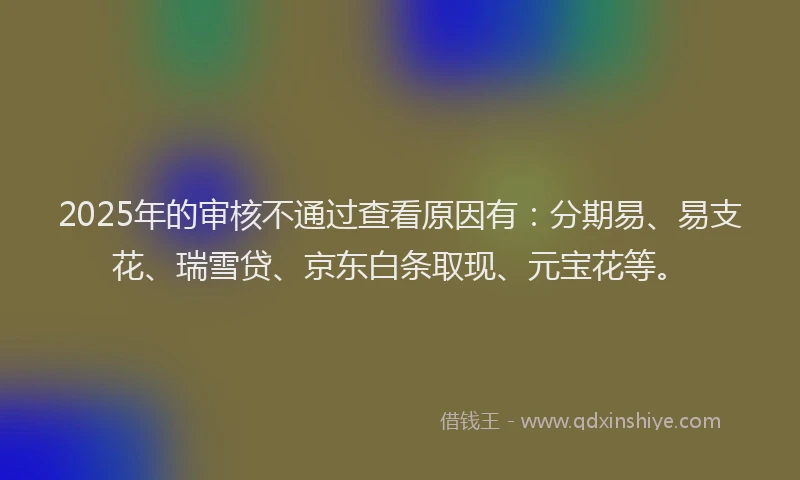 2025年的审核不通过查看原因有：分期易、易支花、瑞雪贷、京东白条取现、元宝花等。