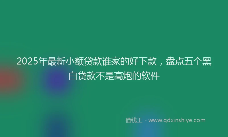2025年最新小额贷款谁家的好下款，盘点五个黑白贷款不是高炮的软件