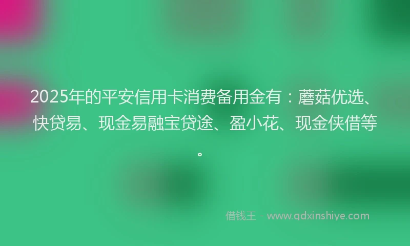 2025年的平安信用卡消费备用金有：蘑菇优选、快贷易、现金易融宝贷途、盈小花、现金侠借等。