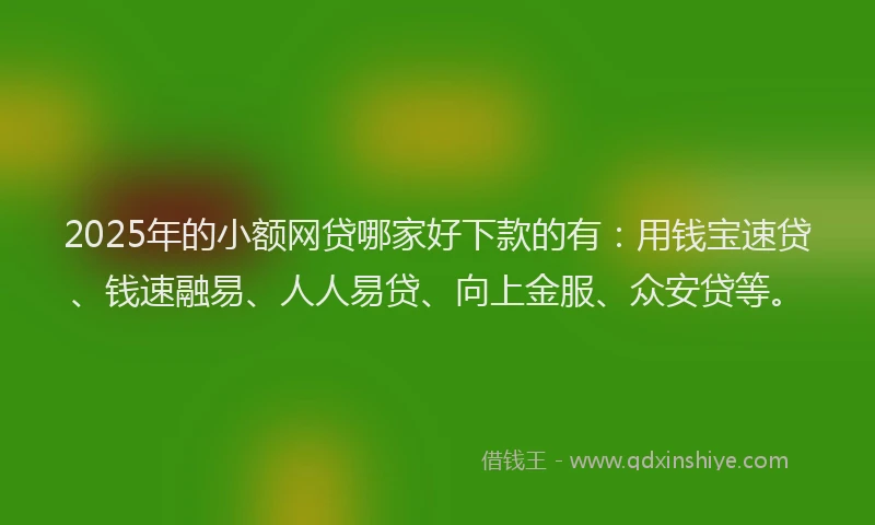 2025年的小额网贷哪家好下款的有：用钱宝速贷、钱速融易、人人易贷、向上金服、众安贷等。