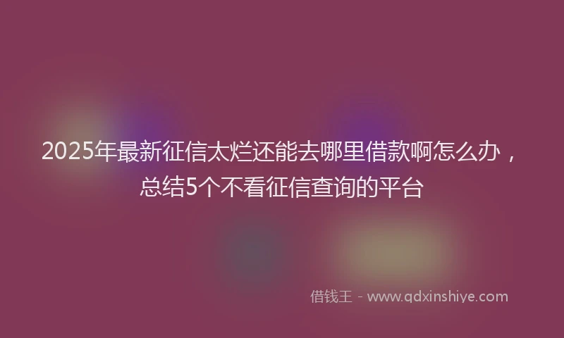 2025年最新征信太烂还能去哪里借款啊怎么办，总结5个不看征信查询的平台