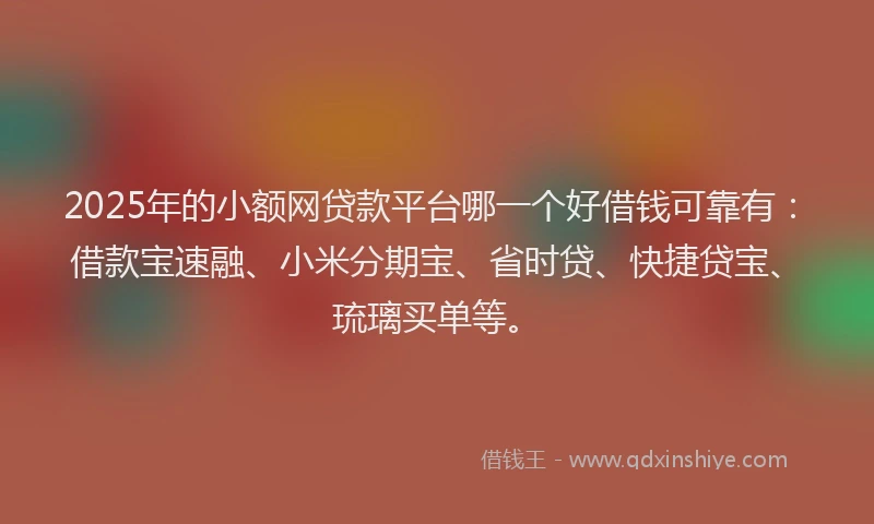 2025年的小额网贷款平台哪一个好借钱可靠有：借款宝速融、小米分期宝、省时贷、快捷贷宝、琉璃买单等。
