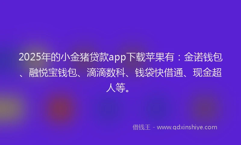 2025年的小金猪贷款app下载苹果有：金诺钱包、融悦宝钱包、滴滴数科、钱袋快借通、现金超人等。