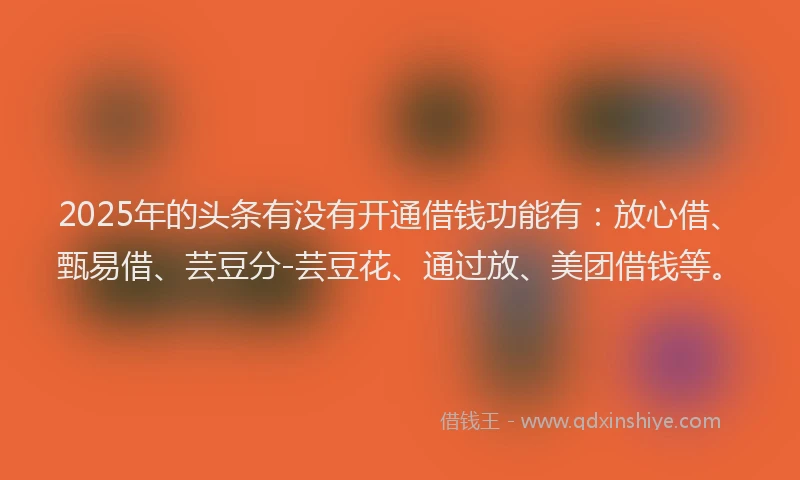 2025年的头条有没有开通借钱功能有：放心借、甄易借、芸豆分-芸豆花、通过放、美团借钱等。