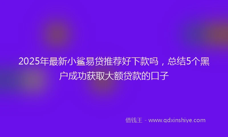 2025年最新小鲨易贷推荐好下款吗，总结5个黑户成功获取大额贷款的口子