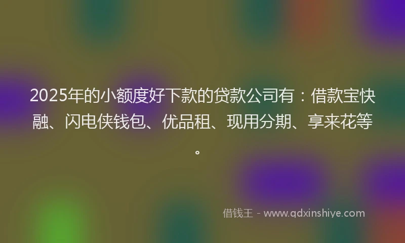 2025年的小额度好下款的贷款公司有：借款宝快融、闪电侠钱包、优品租、现用分期、享来花等。