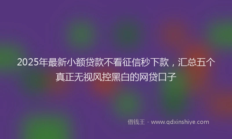 2025年最新小额贷款不看征信秒下款，汇总五个真正无视风控黑白的网贷口子