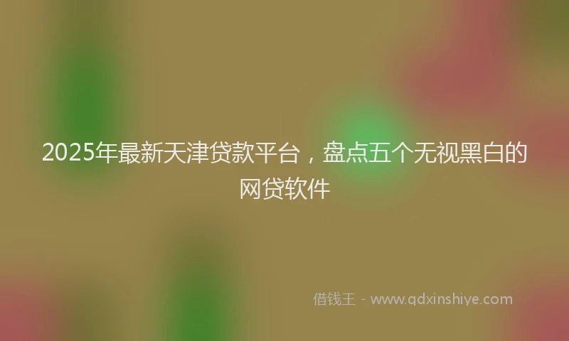 2025年最新天津贷款平台，盘点五个无视黑白的网贷软件