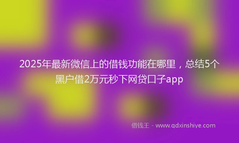 2025年最新微信上的借钱功能在哪里，总结5个黑户借2万元秒下网贷口子app