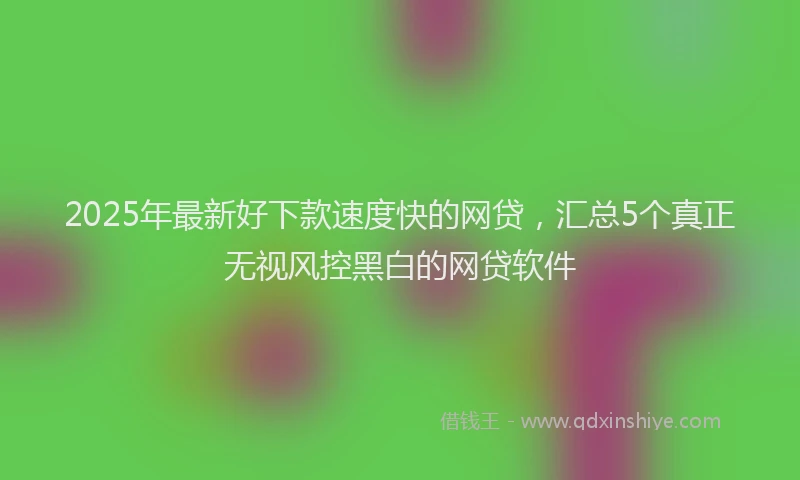 2025年最新好下款速度快的网贷，汇总5个真正无视风控黑白的网贷软件