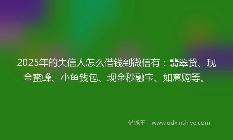 2025年的失信人怎么借钱到微信有：翡翠贷、现金蜜蜂、小鱼钱包、现金秒融宝、如意购等。