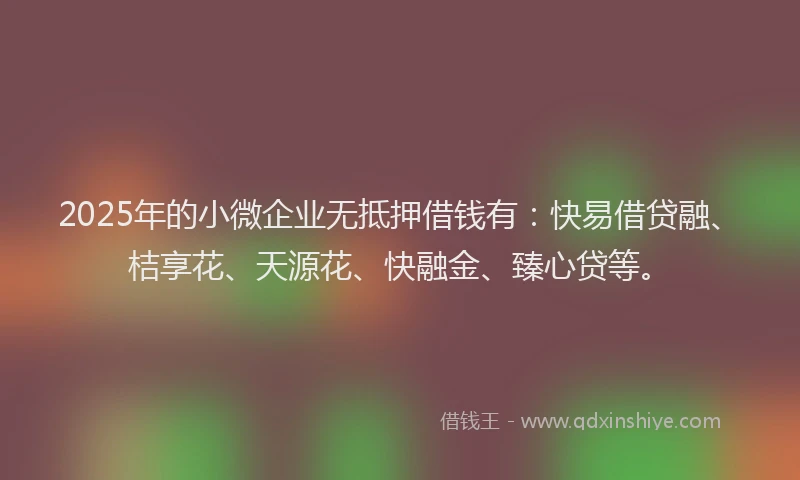 2025年的小微企业无抵押借钱有：快易借贷融、桔享花、天源花、快融金、臻心贷等。