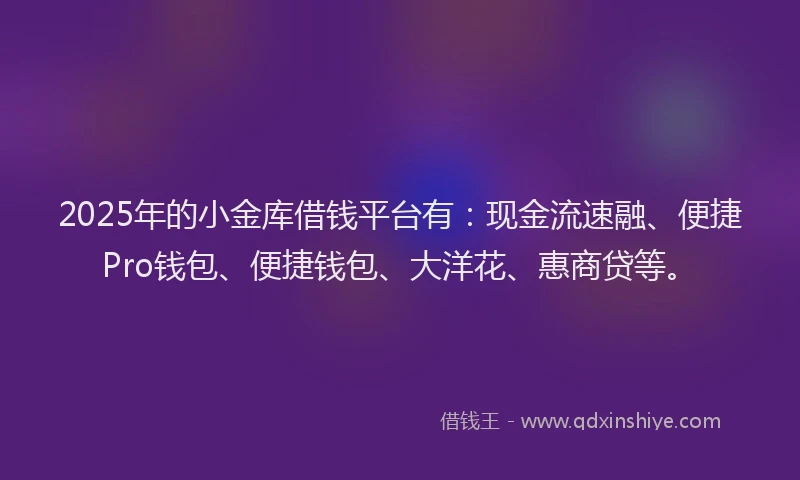 2025年的小金库借钱平台有：现金流速融、便捷Pro钱包、便捷钱包、大洋花、惠商贷等。