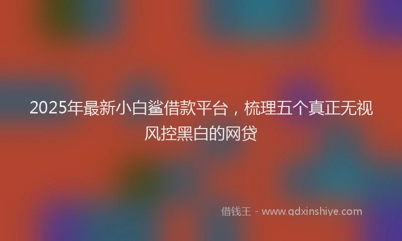2025年最新小白鲨借款平台，梳理五个真正无视风控黑白的网贷