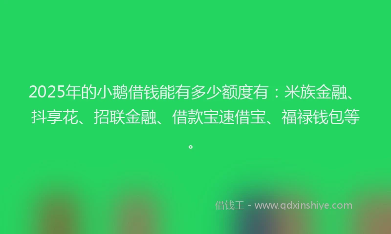 2025年的小鹅借钱能有多少额度有：米族金融、抖享花、招联金融、借款宝速借宝、福禄钱包等。