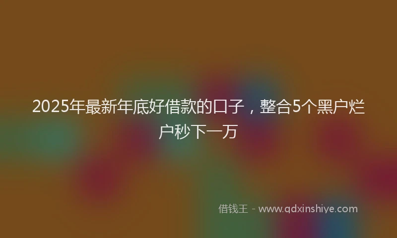 2025年最新年底好借款的口子，整合5个黑户烂户秒下一万