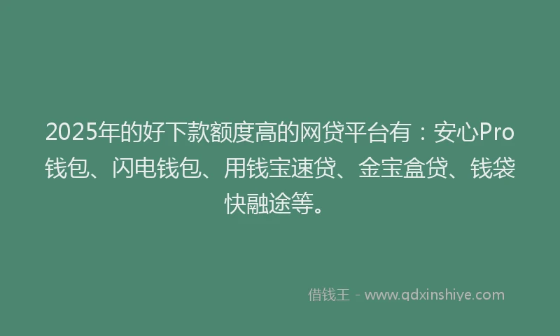 2025年的好下款额度高的网贷平台有：安心Pro钱包、闪电钱包、用钱宝速贷、金宝盒贷、钱袋快融途等。