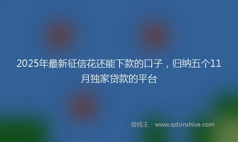 2025年最新征信花还能下款的口子，归纳五个11月独家贷款的平台