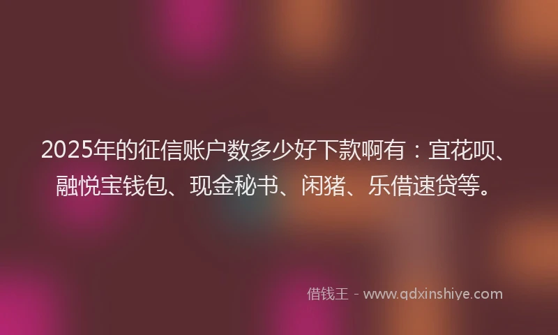 2025年的征信账户数多少好下款啊有：宜花呗、融悦宝钱包、现金秘书、闲猪、乐借速贷等。