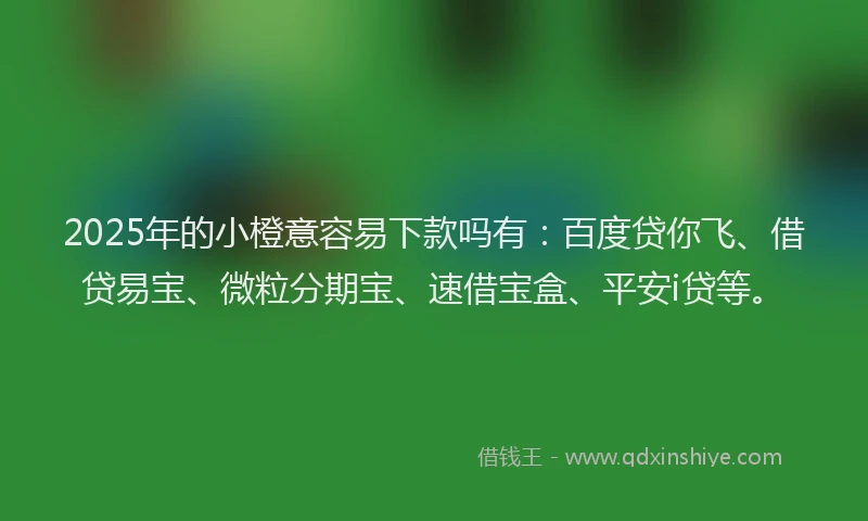 2025年的小橙意容易下款吗有：百度贷你飞、借贷易宝、微粒分期宝、速借宝盒、平安i贷等。
