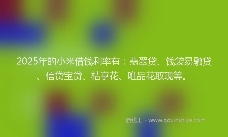 2025年的小米借钱利率有：翡翠贷、钱袋易融贷、信贷宝贷、桔享花、唯品花取现等。