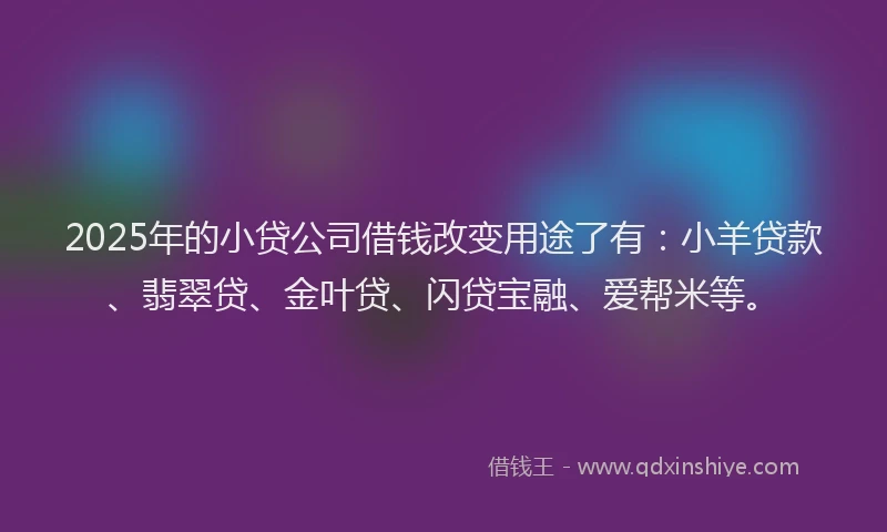 2025年的小贷公司借钱改变用途了有：小羊贷款、翡翠贷、金叶贷、闪贷宝融、爱帮米等。