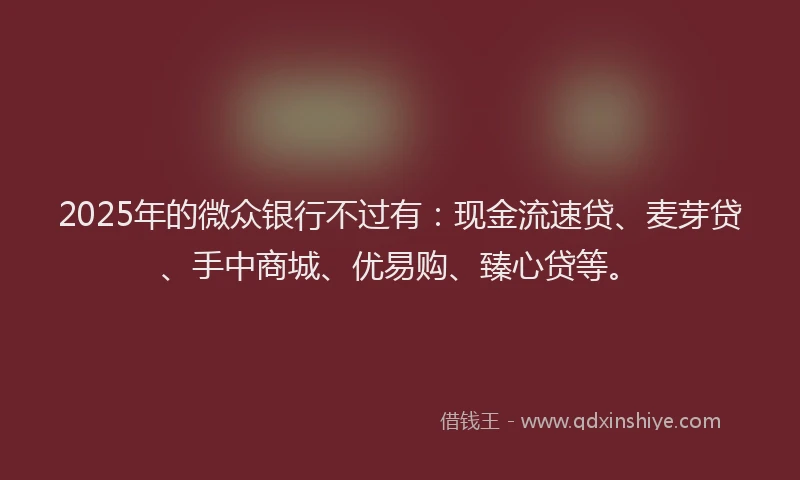 2025年的微众银行不过有：现金流速贷、麦芽贷、手中商城、优易购、臻心贷等。