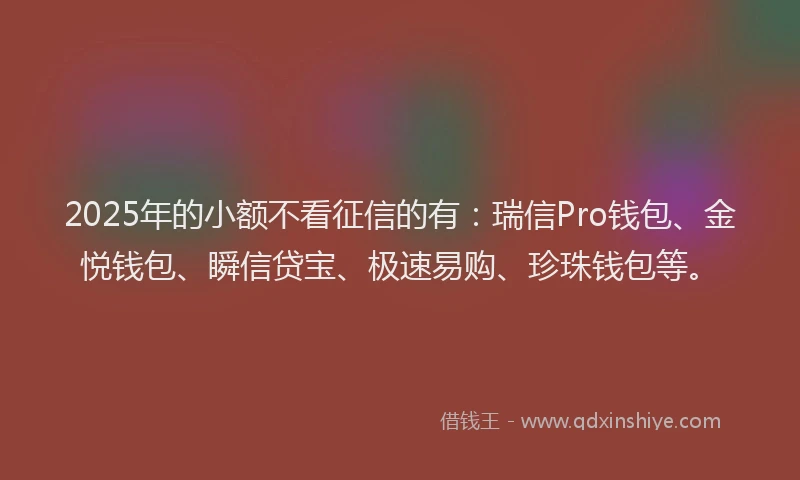 2025年的小额不看征信的有：瑞信Pro钱包、金悦钱包、瞬信贷宝、极速易购、珍珠钱包等。