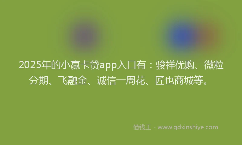 2025年的小赢卡贷app入口有：骏祥优购、微粒分期、飞融金、诚信一周花、匠也商城等。