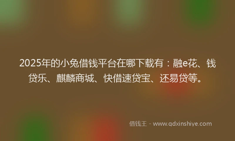 2025年的小兔借钱平台在哪下载有：融e花、钱贷乐、麒麟商城、快借速贷宝、还易贷等。