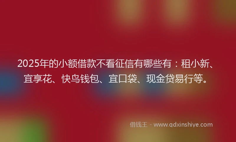 2025年的小额借款不看征信有哪些有：租小新、宜享花、快鸟钱包、宜口袋、现金贷易行等。