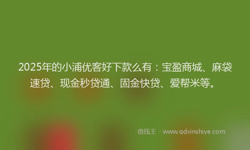 2025年的小浦优客好下款么有：宝盈商城、麻袋速贷、现金秒贷通、固金快贷、爱帮米等。