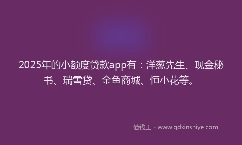 2025年的小额度贷款app有：洋葱先生、现金秘书、瑞雪贷、金鱼商城、恒小花等。