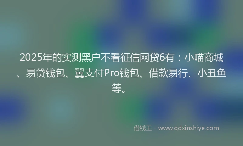 2025年的实测黑户不看征信网贷6有：小喵商城、易贷钱包、翼支付Pro钱包、借款易行、小丑鱼等。