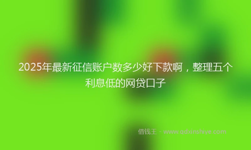 2025年最新征信账户数多少好下款啊，整理五个利息低的网贷口子