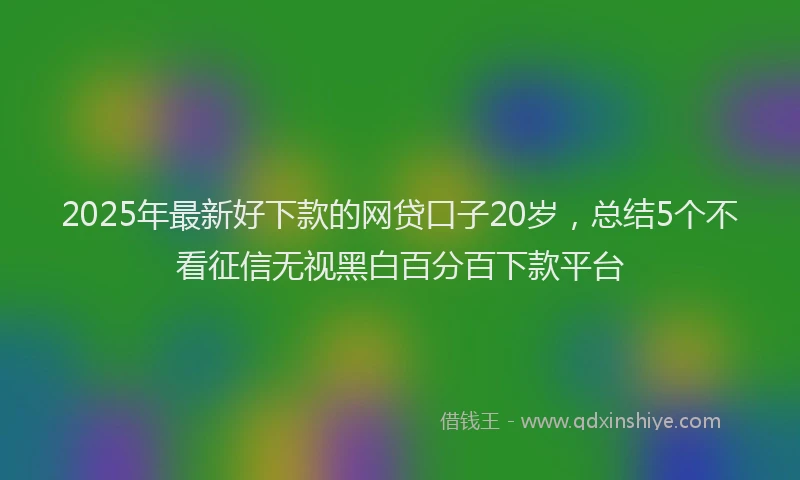 2025年最新好下款的网贷口子20岁，总结5个不看征信无视黑白百分百下款平台
