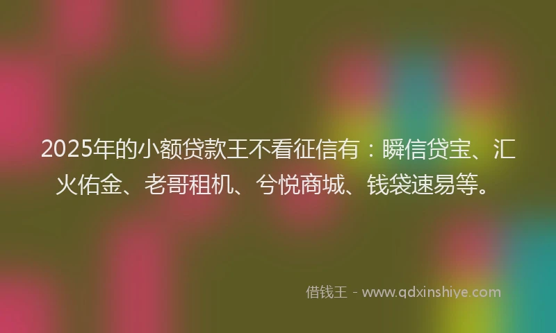 2025年的小额贷款王不看征信有：瞬信贷宝、汇火佑金、老哥租机、兮悦商城、钱袋速易等。