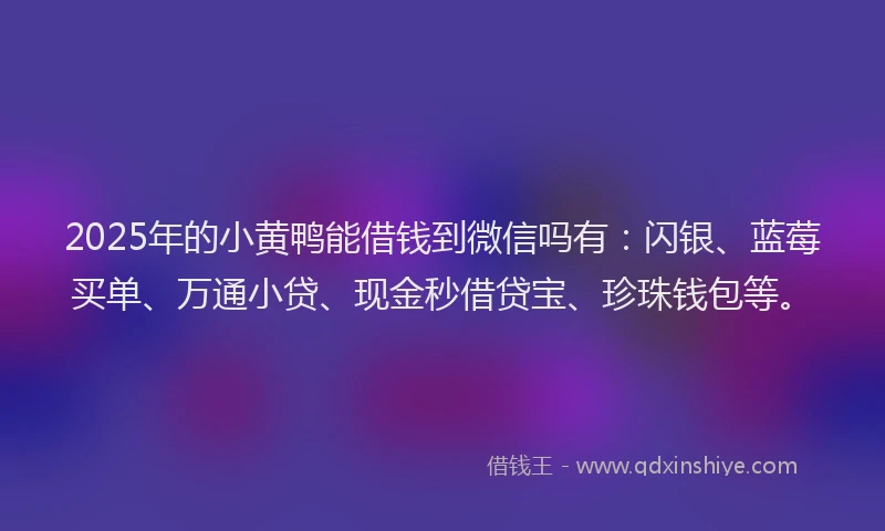 2025年的小黄鸭能借钱到微信吗有：闪银、蓝莓买单、万通小贷、现金秒借贷宝、珍珠钱包等。